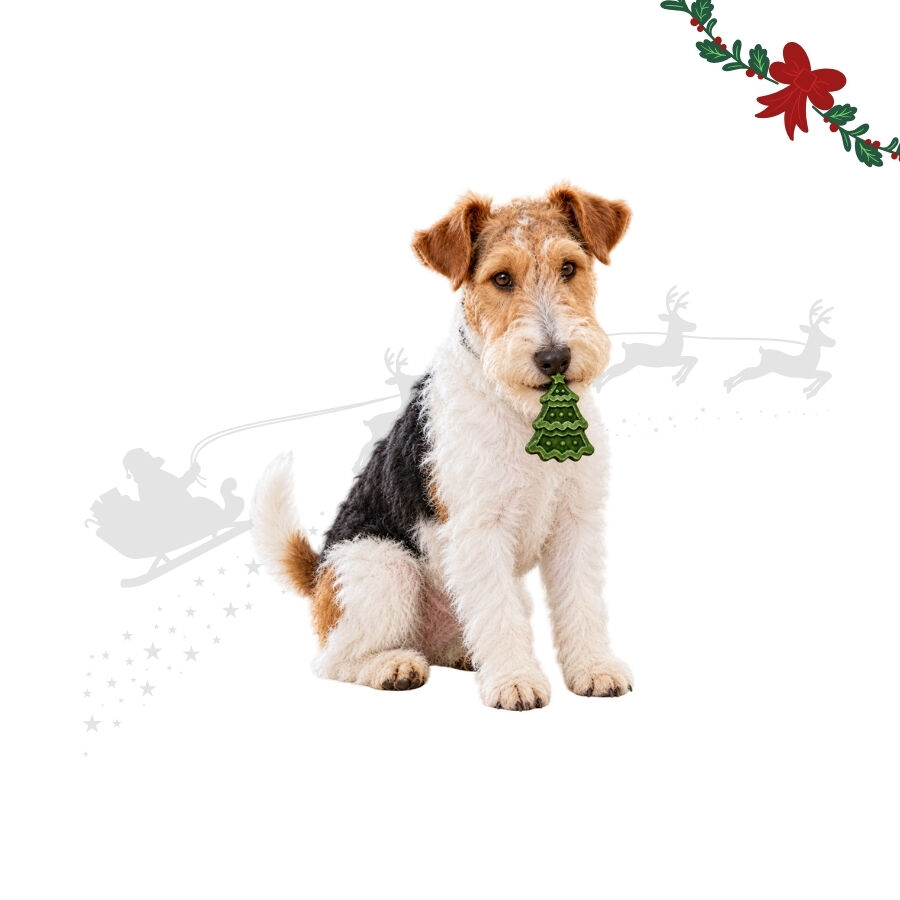 1 un. Wonder Christmas &Aacute;rvore de Couro Prensado Snacks para C&atilde;es, , large Imagem n&uacute;mero 1