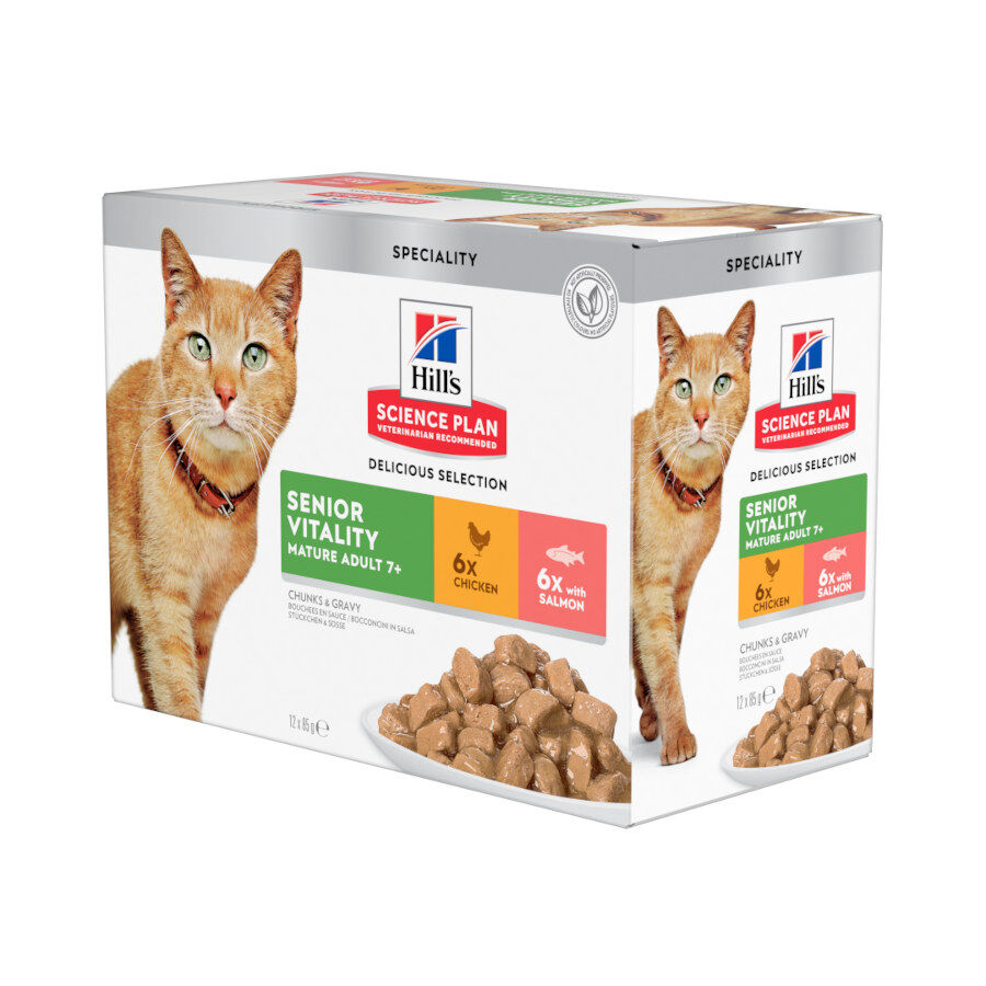 12 saquetas x 85 g Hill's Science Plan Senior Vitality Sach&ecirc; de frango e salm&atilde;o em molho para gatos, , large Imagem n&uacute;mero 1