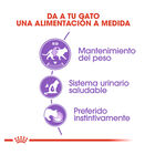 Royal Canin Feline Sterilised Saquetas com molho para gatos, , large image number null