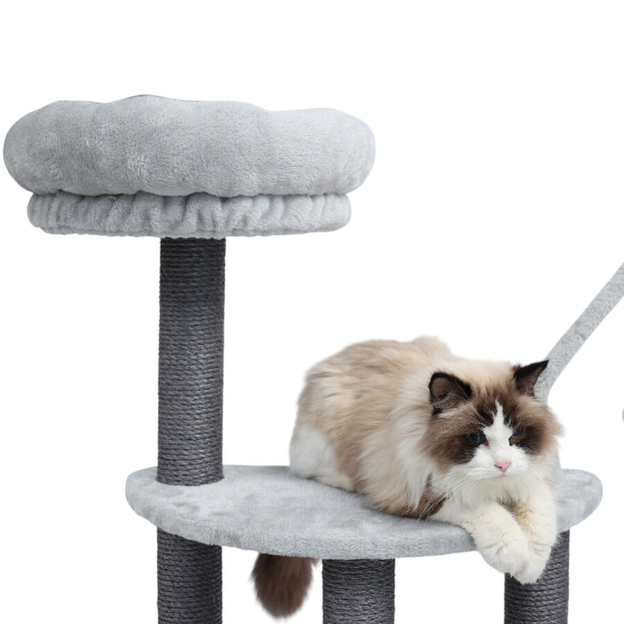 Leeby Kenzo &aacute;rvore arranhadora com cama para gatos, , large Imagem n&uacute;mero 3