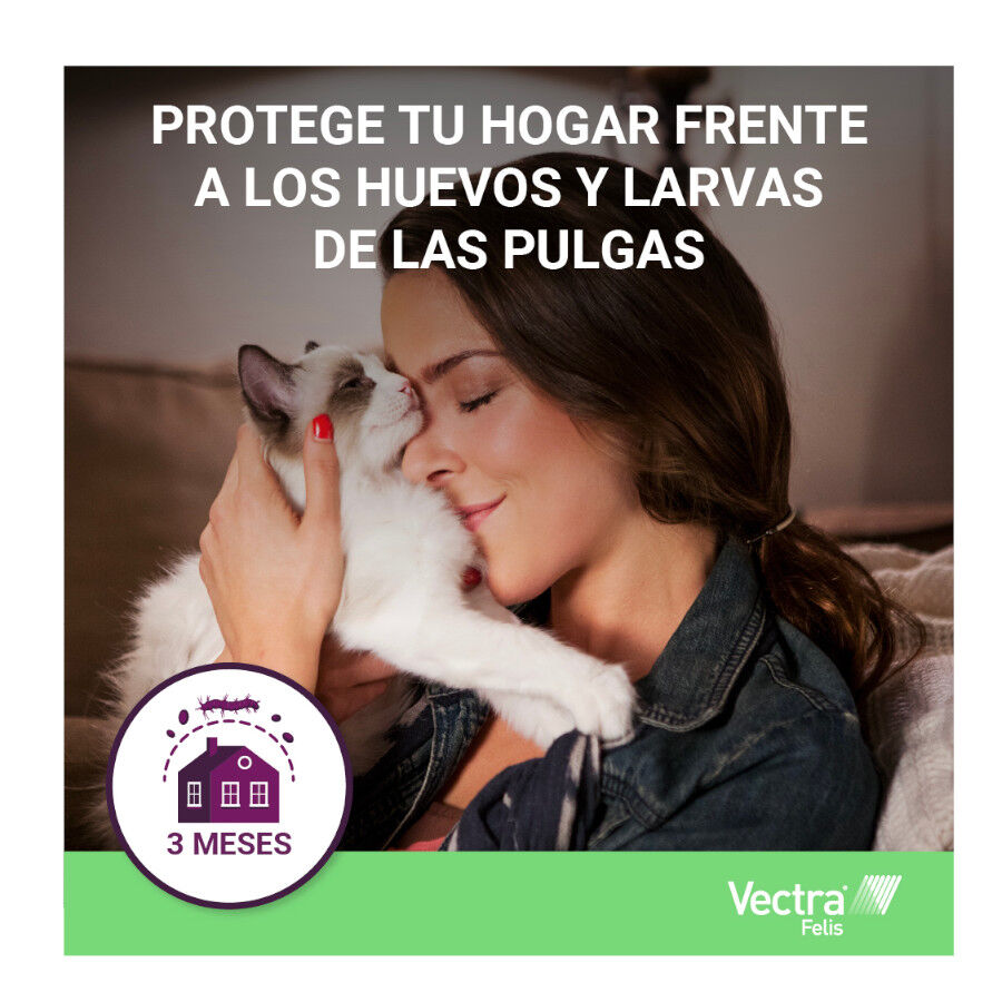 Antiparasitario externo Vectra Felis para gato Imagem n&uacute;mero 4