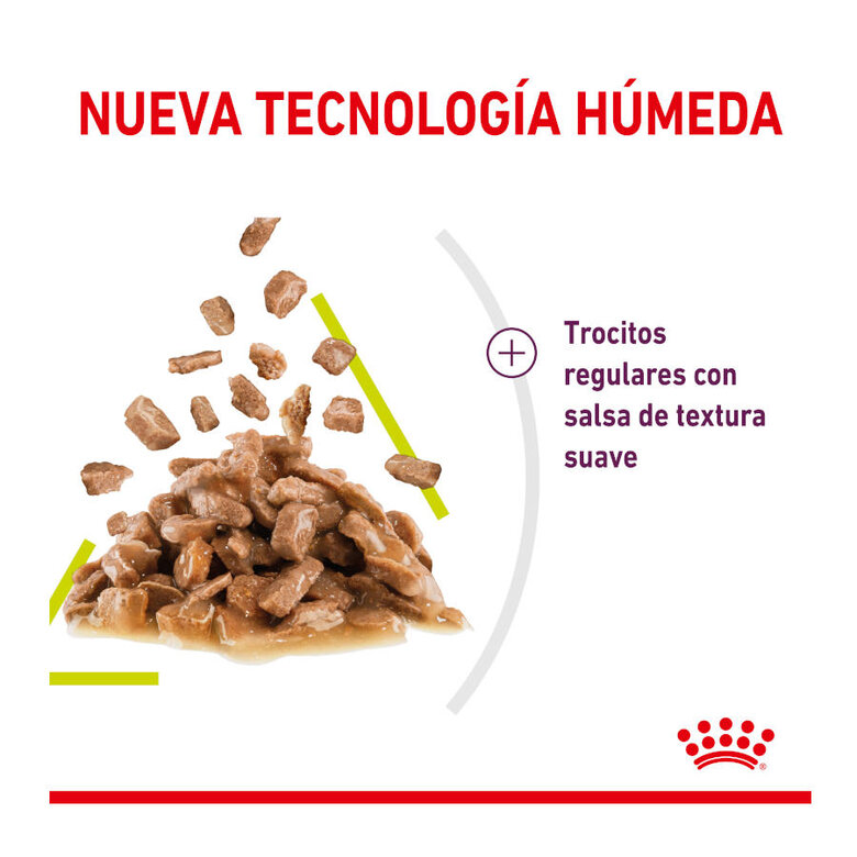 85 g Royal Canin Adult Sensory Smell molho saqueta para gatos,  Imagem número 4 85 g Royal Canin Adult Sensory Smell molho saqueta para gatos, , large Imagem número 4