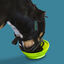 Baskerville Ultra Muzzle Açaime tipo cesto para cães, , large Indicador imagem número 3
