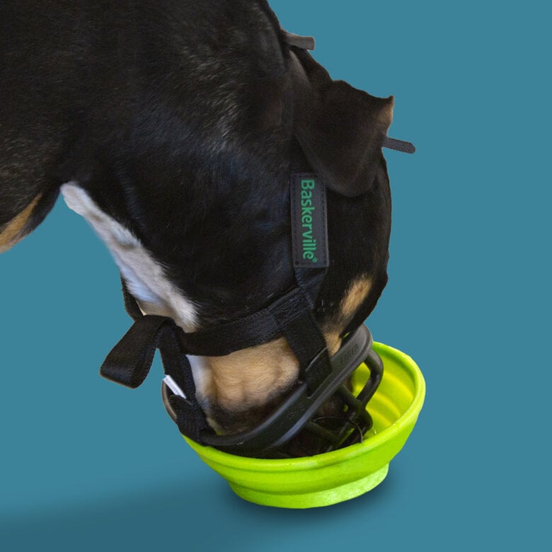 Baskerville Ultra Muzzle Açaime tipo cesto para cães,  Imagem número 3 Baskerville Ultra Muzzle Açaime tipo cesto para cães, , large Imagem número 3