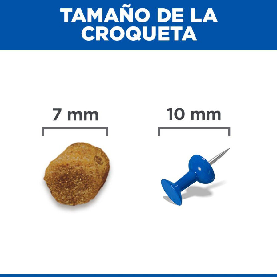 2 x 7 kg Hill's Science Plan Sterilised Adult Frango ra&ccedil;&atilde;o para gatos Pack poupan&ccedil;a!, , large Imagem n&uacute;mero 9