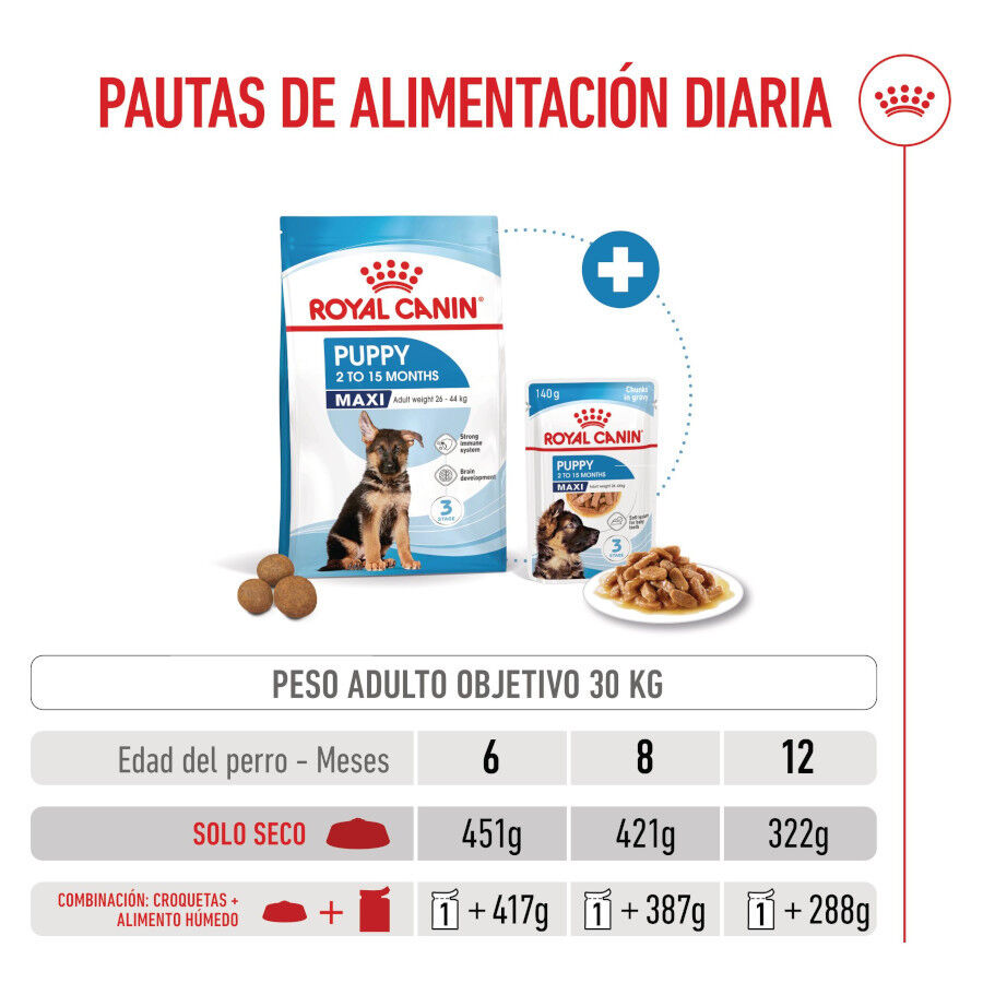 15 kg Royal Canin Puppy Maxi ra&ccedil;&atilde;o para c&atilde;es, , large Imagem n&uacute;mero 5