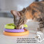 Outward Hound Catstages Kitty Lickin’ Layers Comedouro Interativo para gatos, , large Indicador imagem número 3
