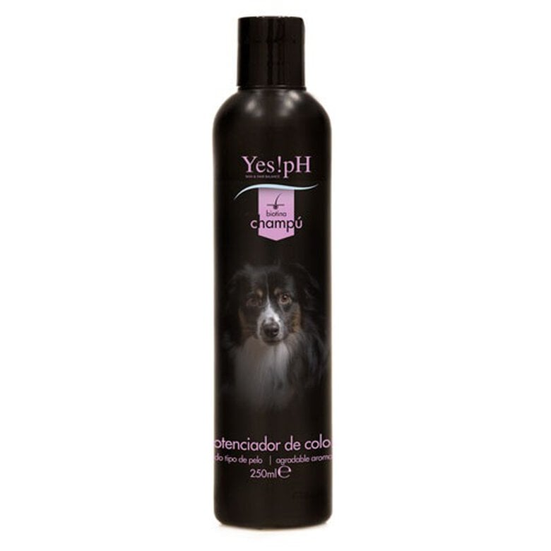 champu_perros_yes!ph_potenciador_color_YESTA38NCHB_M Imagem número 1 Yes!pH potenciador color champú de perros Imagem número 1