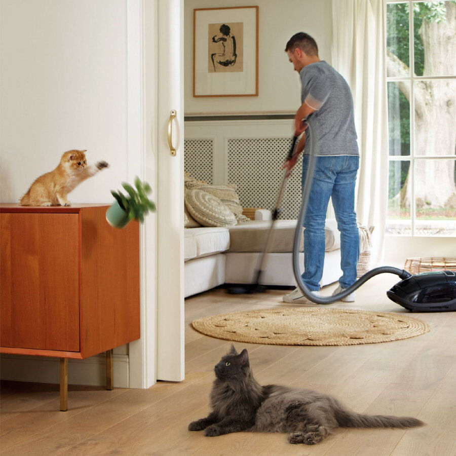 Beaphar CatComfort Excellence Difusor de Feromonas para gatos, , large Imagem n&uacute;mero 7