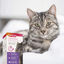 Beaphar CatComfort difusor de odor calmante e recarga para gatos, , large Indicador imagem número 3