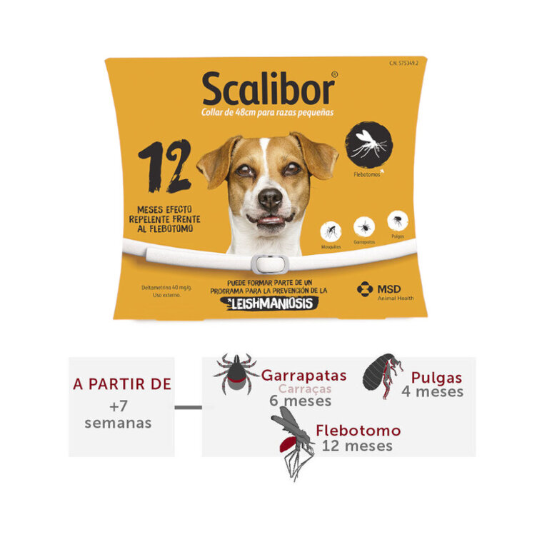 1 coleira x 48 cm Scalibor Coleira Desparasitante para cães,  Imagem número 2 1 coleira x 48 cm Scalibor Coleira Desparasitante para cães, , large Imagem número 2