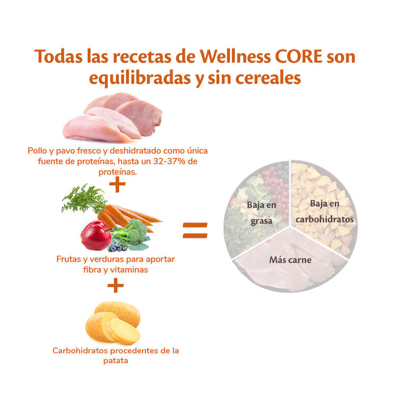 Wellness Core Adult Small Healthy Peru ração para cães , , large image number null