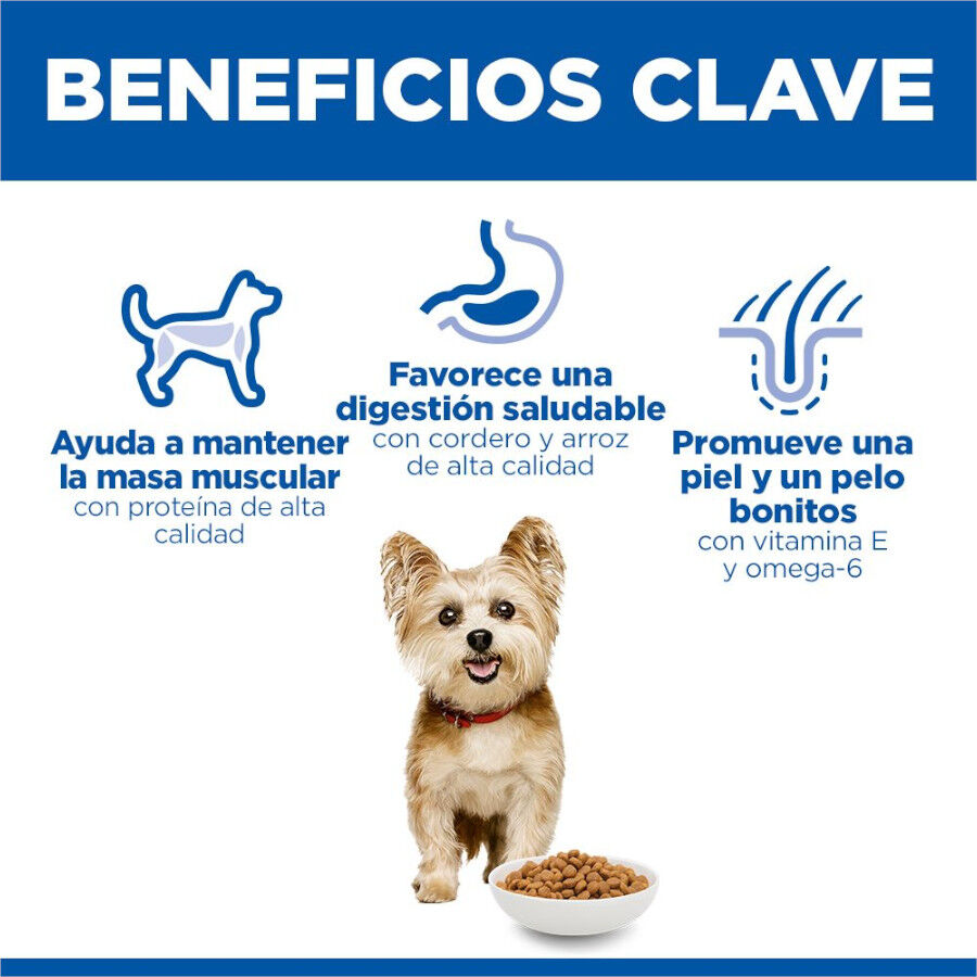 1.5 kg Hills Adult Small y Mini Science Plan Cordeiro ra&ccedil;&atilde;o para c&atilde;es, , large Imagem n&uacute;mero 5