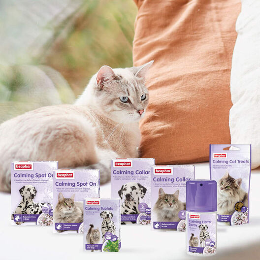 Beaphar Calming Cat Treats snack anti-estresse para gatos, , large image number null