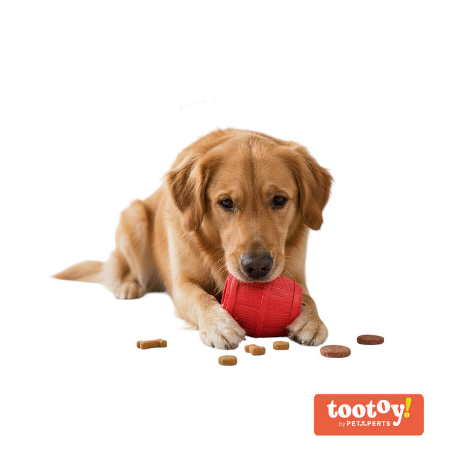 Tootoy! Chew Brinquedo interativo dispensador de snacks para c&atilde;es, , large Imagem n&uacute;mero 7