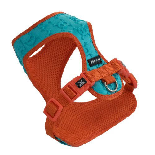 Nayeco Calaveras 3D arn&eacute;s para perros azul Imagem n&uacute;mero 1