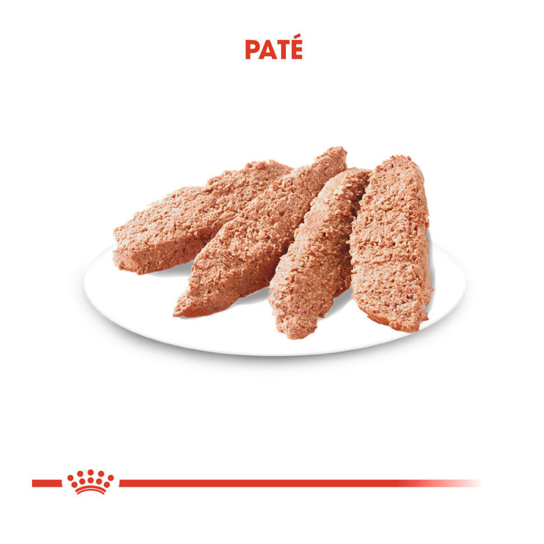 Royal Canin Digestive Care Patê saquetas para cães, , large image number null