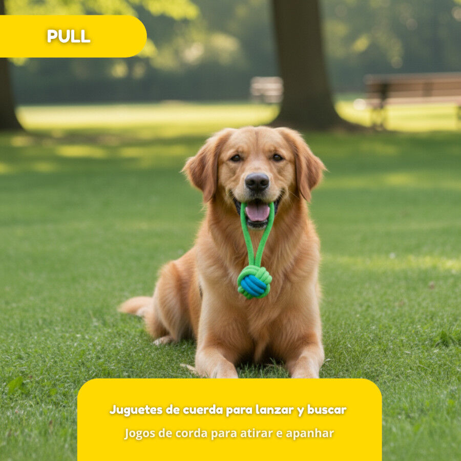 Tootoy! Pull Bola de corda com pega para c&atilde;es, , large Imagem n&uacute;mero 5