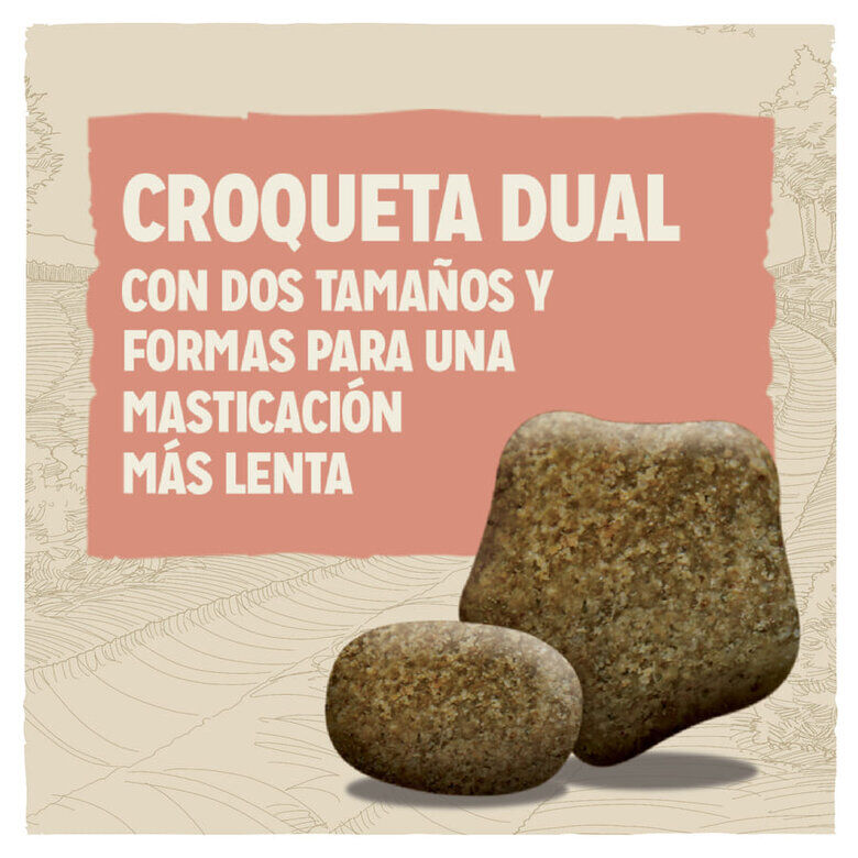 Dog Chow Light Pavo pienso para perros3 Imagem n&uacute;mero 3