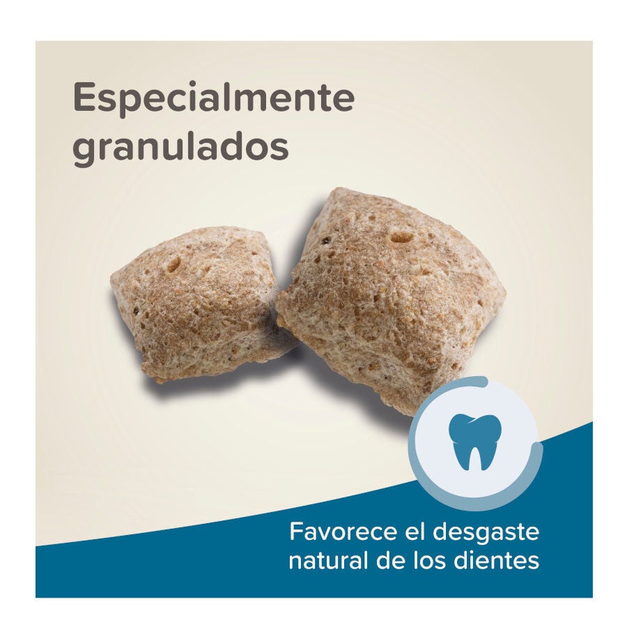 Beaphar Care+ comida de rato super premium, , large Imagem n&uacute;mero 6