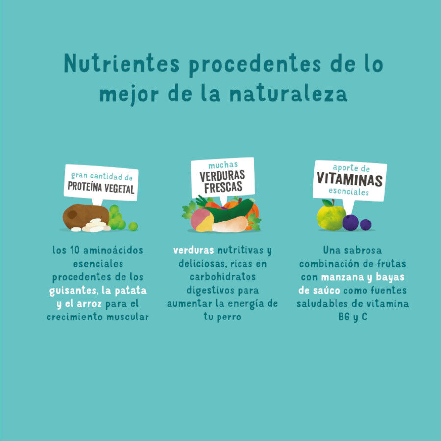 7 kg Edgard & Cooper Ra&ccedil;&atilde;o de beterraba para c&atilde;es, , large Imagem n&uacute;mero 4