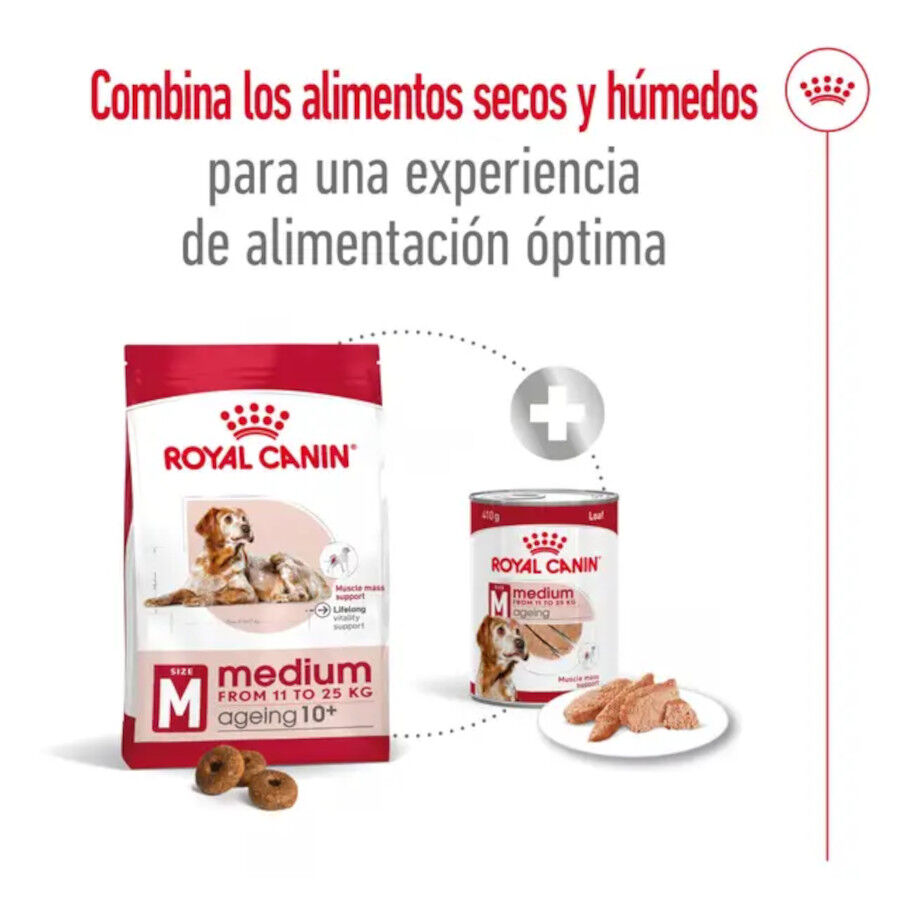 15 kg Royal Canin Medium 10+ Ageing ra&ccedil;&atilde;o para c&atilde;es, , large Imagem n&uacute;mero 9