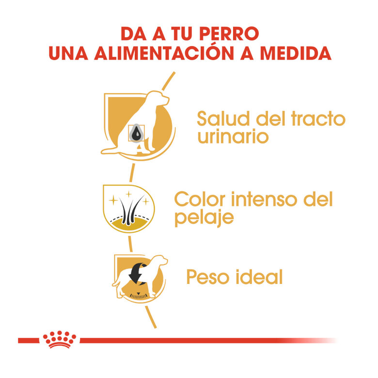 7.5 kg Royal Canin Adult Miniature Schnauzer Ração para cães,  Imagem número 6 7.5 kg Royal Canin Adult Miniature Schnauzer Ração para cães, , large Imagem número 6