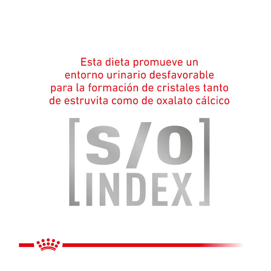 2 kg Royal Canin Gastrointestinal Hairball ra&ccedil;&atilde;o para gatos, , large Imagem n&uacute;mero 5