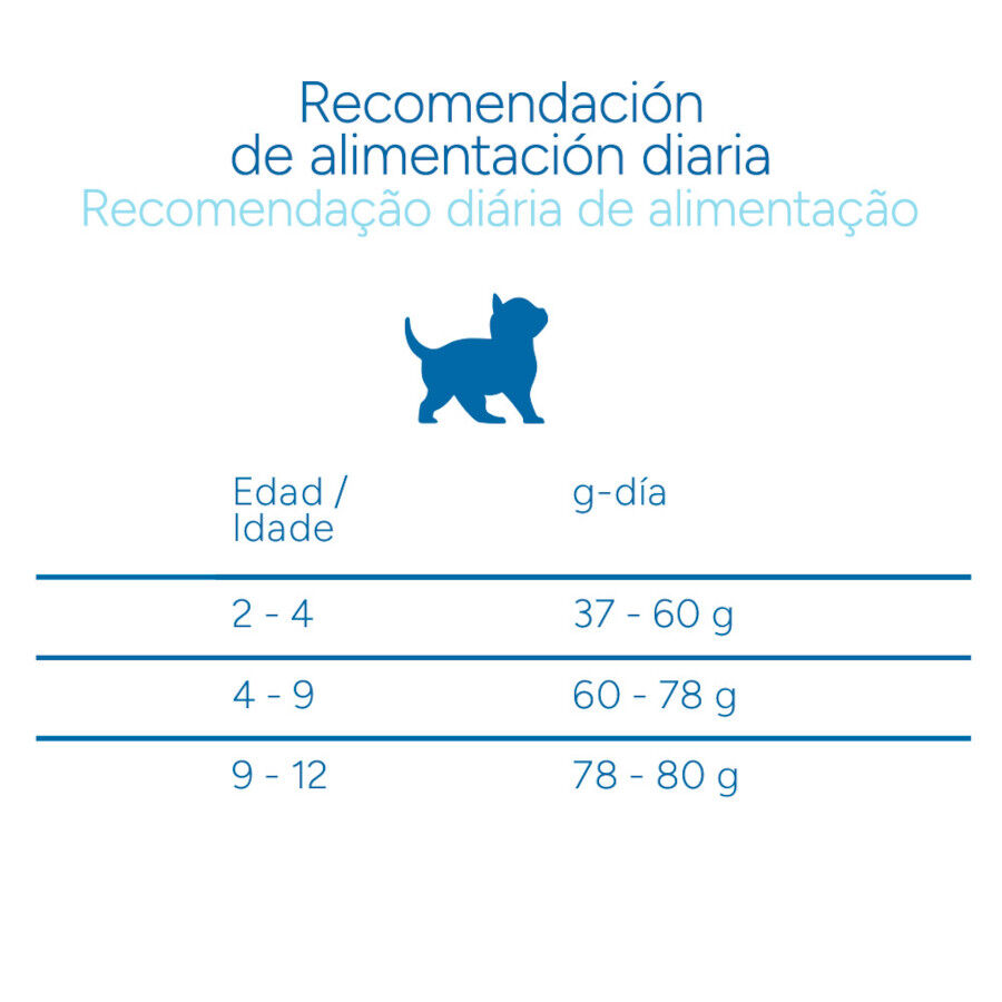 Criadores Cient&iacute;fico Kitten Ra&ccedil;&atilde;o de frango para gatinhos, , large Imagem n&uacute;mero 9