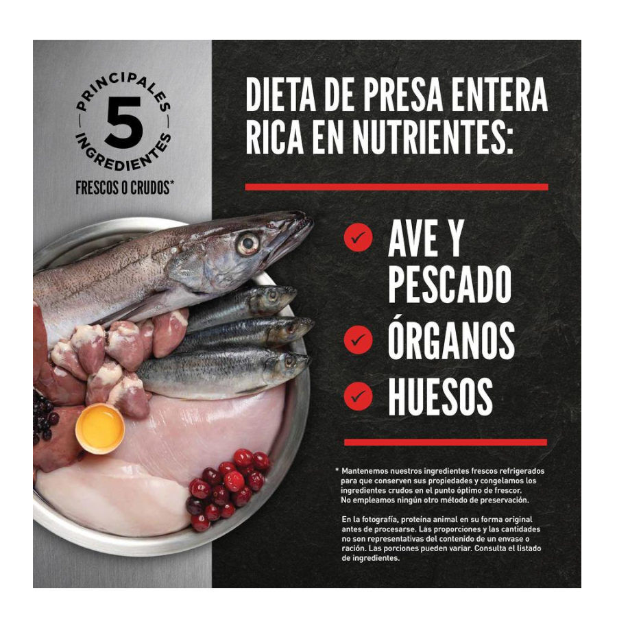 5.4 kg Orijen Regional Red ra&ccedil;&atilde;o para gatos, , large Imagem n&uacute;mero 3