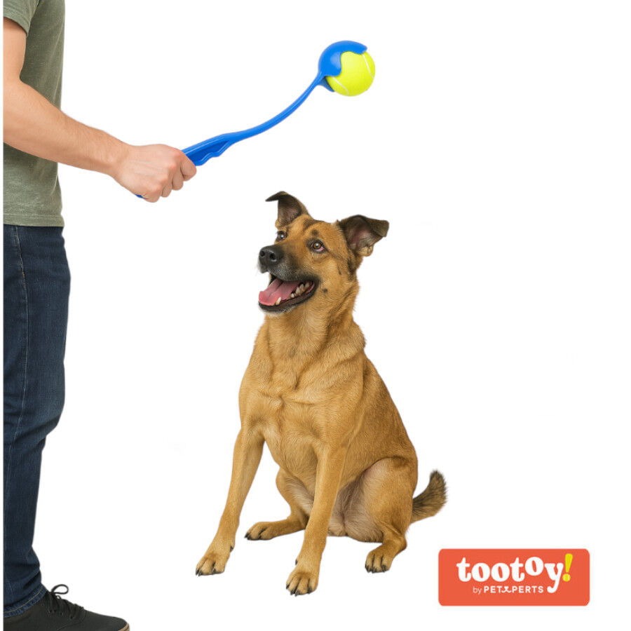 Tootoy! Tennis Ball Launcher Lan&ccedil;a Bolas Azul para c&atilde;es, , large Imagem n&uacute;mero 2