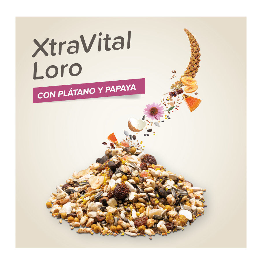 Beaphar XtraVital comida para papagaios, , large Imagem n&uacute;mero 3