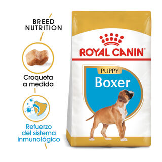 Royal Canin Puppy Boxer ração para cães