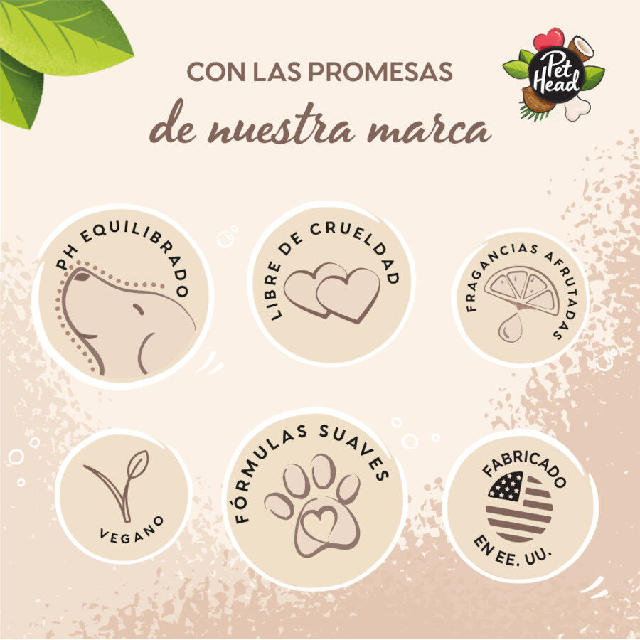 Pet Head Condicionador coco para peles sens&iacute;veis para c&atilde;es 300ml, , large Imagem n&uacute;mero 4