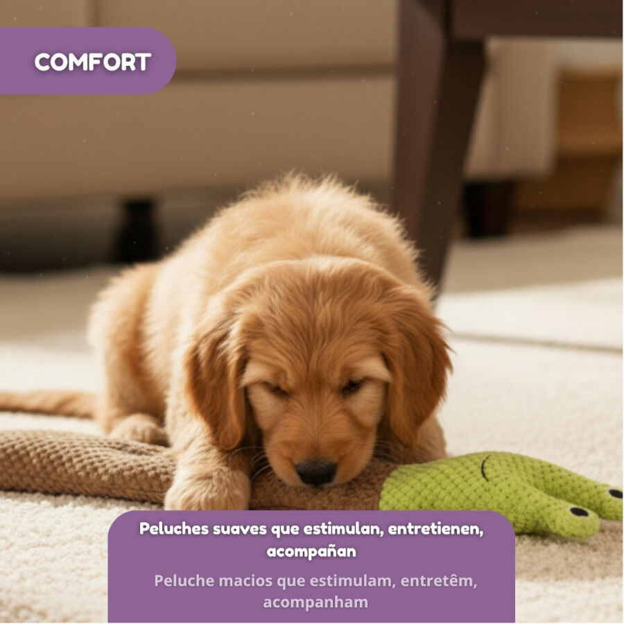 Tootoy! Comfort Caracol de brinquedo para c&atilde;es, , large Imagem n&uacute;mero 5