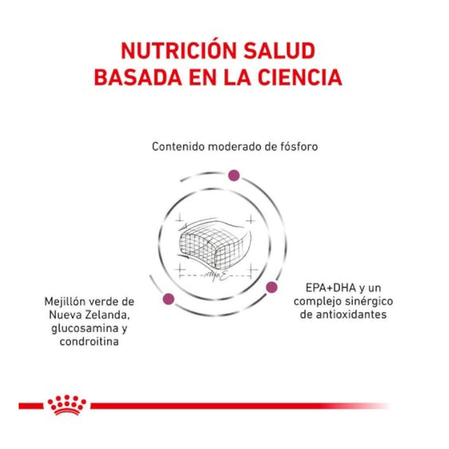 6 kg Royal Canin Early Renal ra&ccedil;&atilde;o para gatos, , large Imagem n&uacute;mero 3