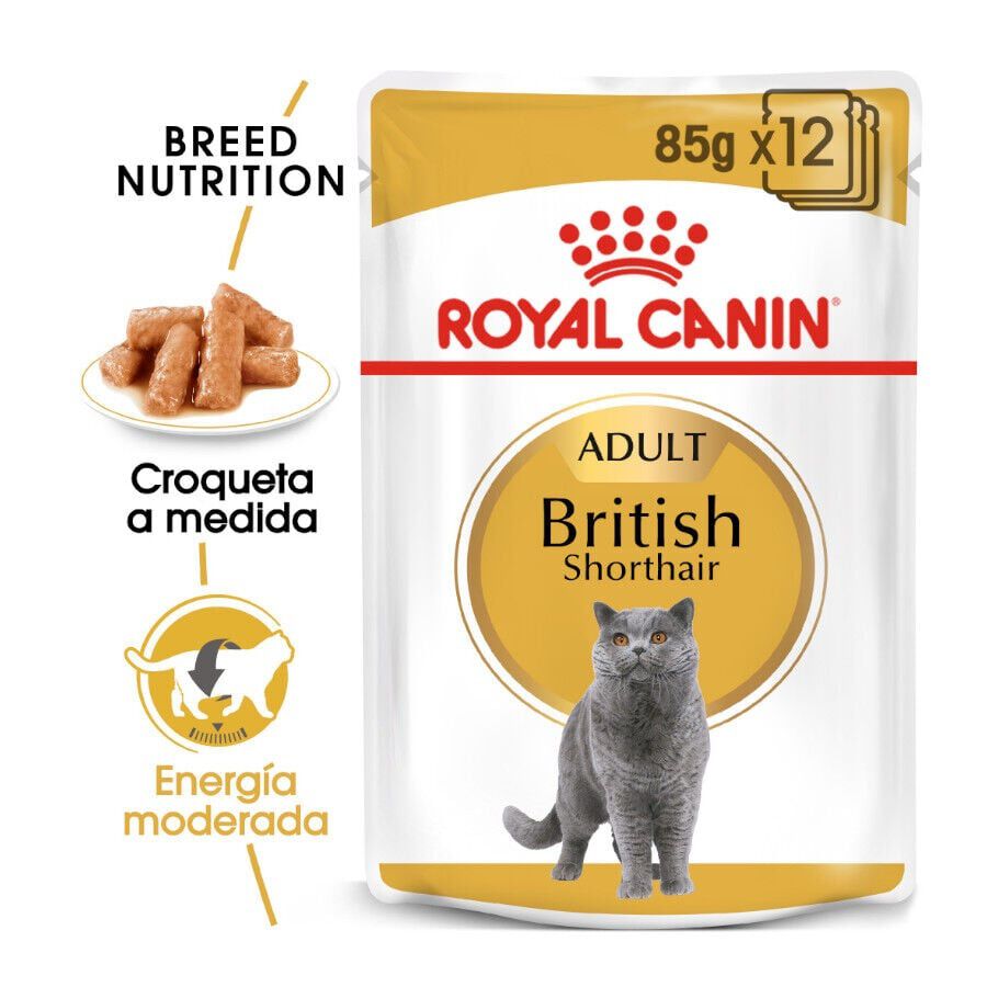 85 g Royal Canin comida h&uacute;mida British Shorthair Adult, , large Imagem n&uacute;mero 2