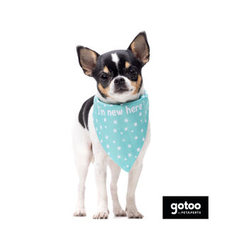 Gotoo Bandana estampada verde para cães