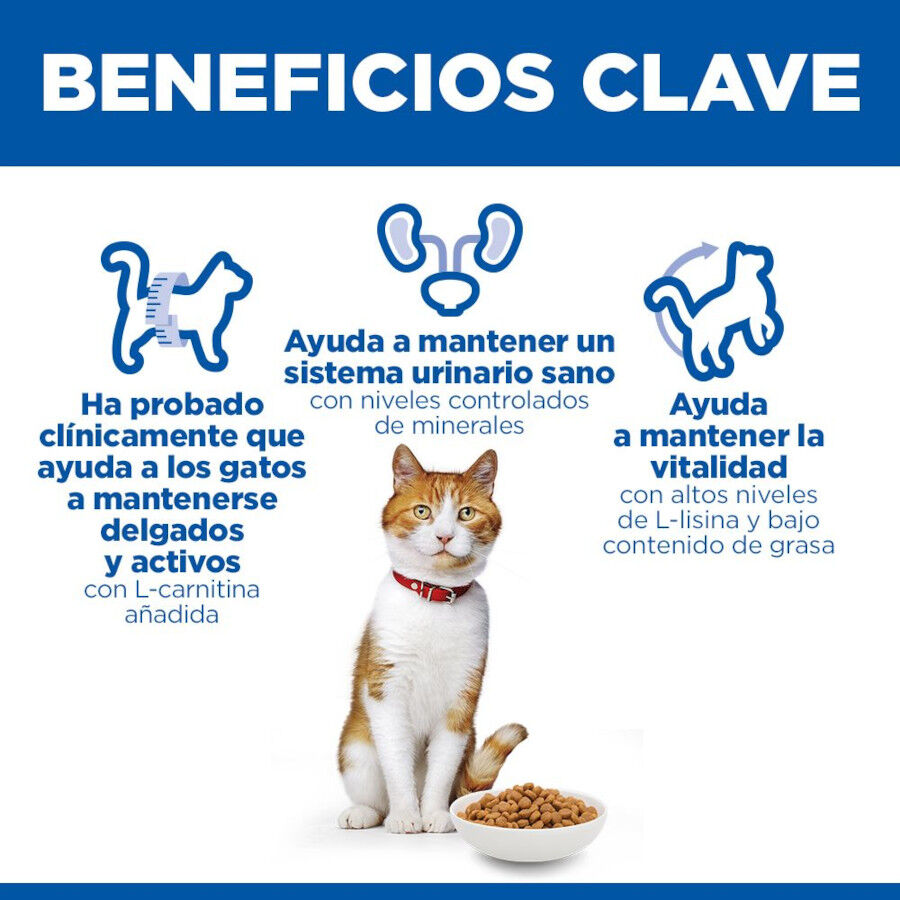 7 kg Hill's Science Plan Sterilised Adult Salmon ra&ccedil;&atilde;o para gatos, , large Imagem n&uacute;mero 5