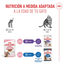 85 g Royal Canin Kitten Sterilised alimento húmido em molho saquetas para gatos, , large Indicador imagem número 6