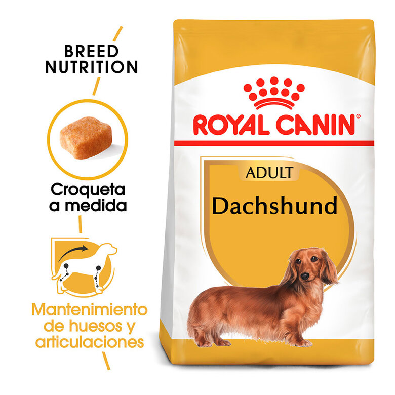 7.5 kg Royal Canin Adult Dachshund ração para cães,  Imagem número 2 7.5 kg Royal Canin Adult Dachshund ração para cães, , large Imagem número 2