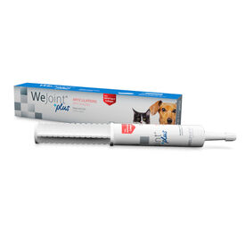 Wepharm Wejoint Plus Pasta Suplemento para c&atilde;es e gatos