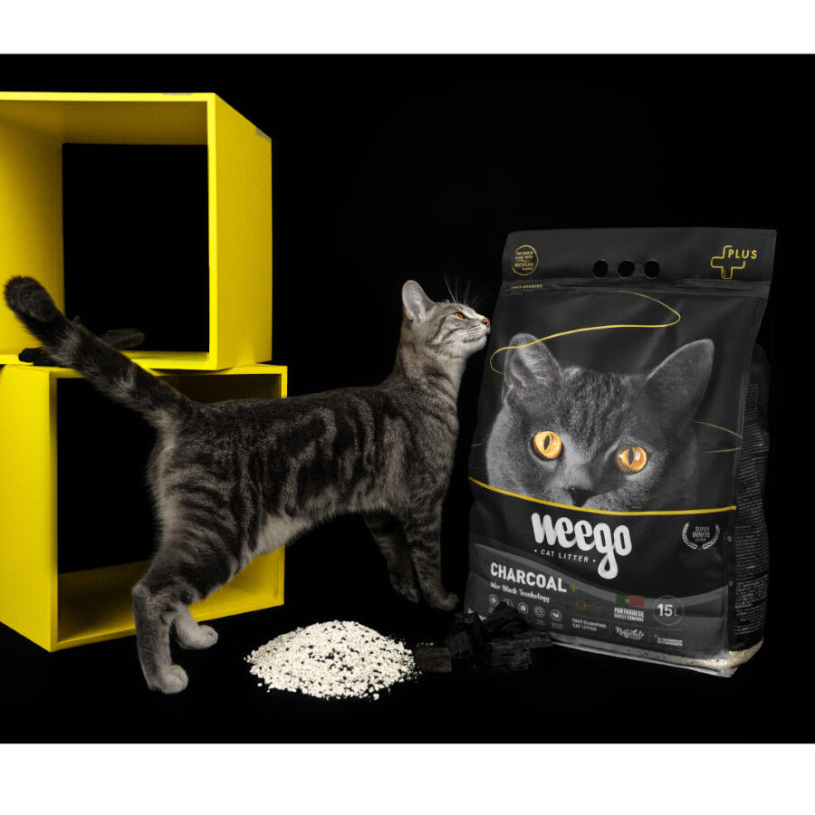 Weego Active Charcoal Plus Areia aglomerante para gatos, , large Imagem n&uacute;mero 4
