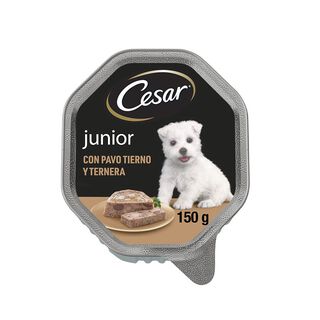 Cesar Peru e Vitela Terrina em Geleia para Cachorros