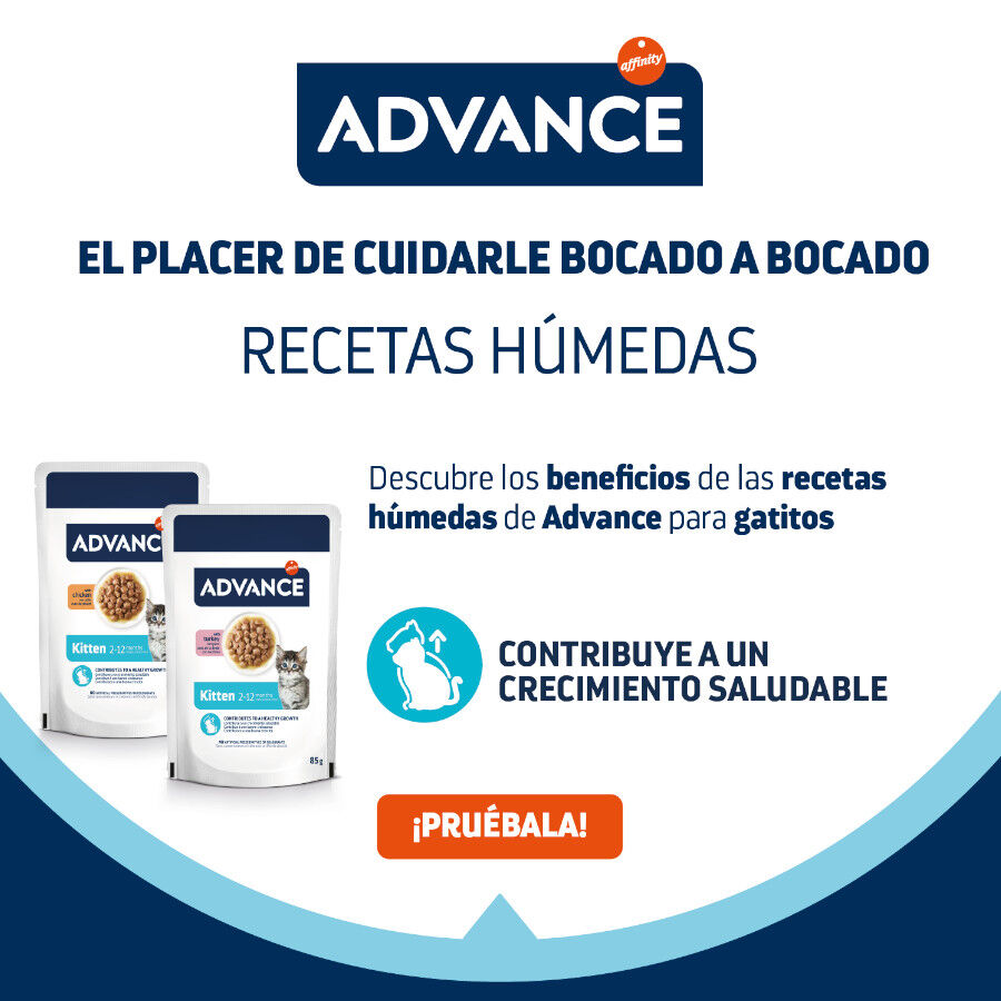 85 g Advance Kitten Peru em molho saquetas, , large Imagem n&uacute;mero 5