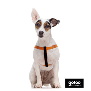Gotoo Peitoral nylon laranja reflexivo para cães