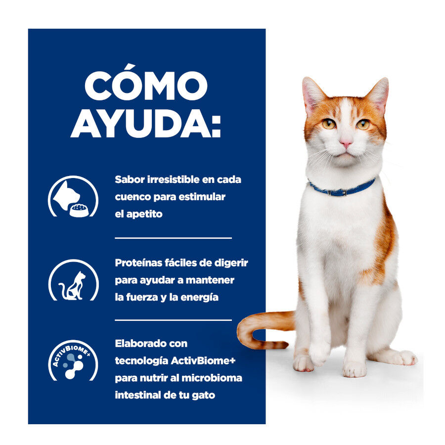 82 g Hill's Prescription Diet Feline Alimento h&uacute;mido de frango estofado e legumes para gatos, , large Imagem n&uacute;mero 3