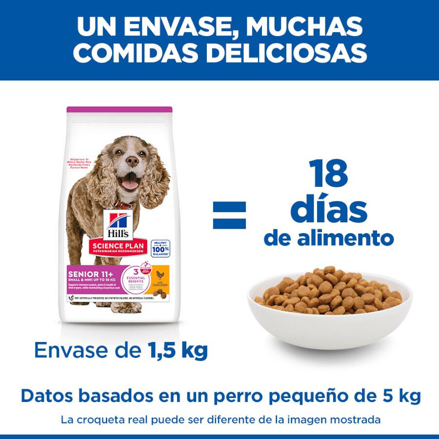 1.5 kg Hill's Small y Mini Senior Science Plan Frango ra&ccedil;&atilde;o para c&atilde;es, , large Imagem n&uacute;mero 6