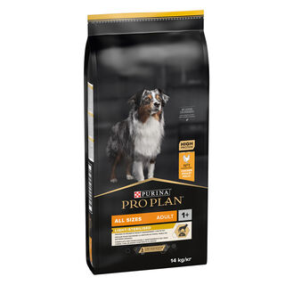 Pro Plan Adult OptiWeight All Size Frango ração para cães