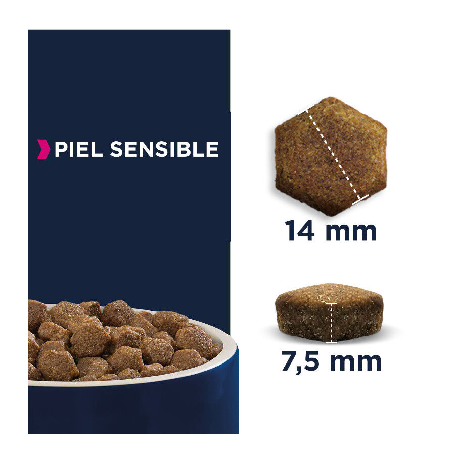 12 kg Eukanuba Adult Daily Care Sensitive Skin ra&ccedil;&atilde;o para c&atilde;es, , large Imagem n&uacute;mero 2